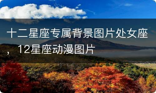 十二星座专属背景图片处女座，12星座动漫图片