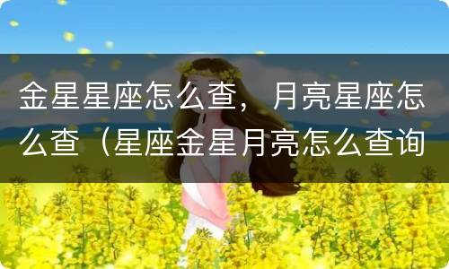 金星星座怎么查，月亮星座怎么查（星座金星月亮怎么查询）