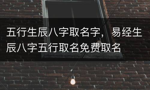 五行生辰八字取名字，易经生辰八字五行取名免费取名