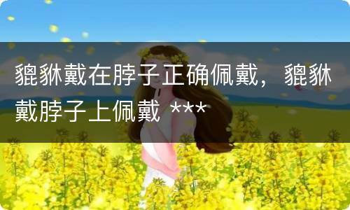 貔貅戴在脖子正确佩戴，貔貅戴脖子上佩戴 ***