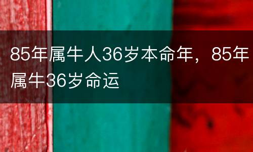 85年属牛人36岁本命年，85年属牛36岁命运