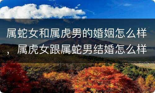 属蛇女和属虎男的婚姻怎么样，属虎女跟属蛇男结婚怎么样
