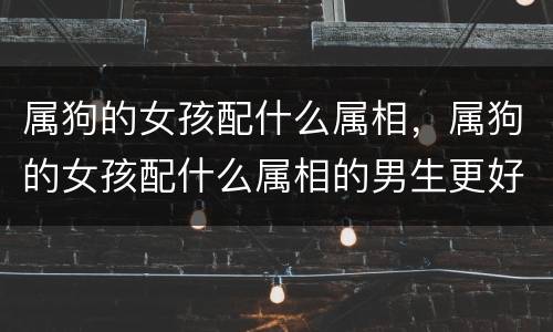 属狗的女孩配什么属相，属狗的女孩配什么属相的男生更好