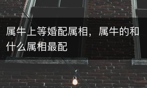 属牛上等婚配属相，属牛的和什么属相最配
