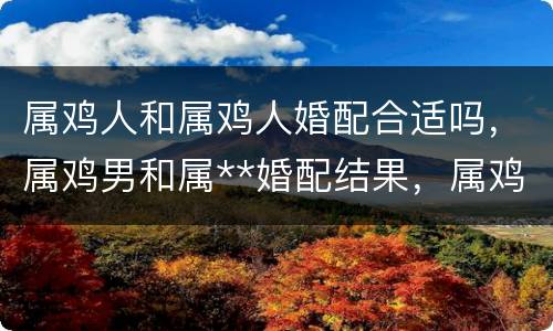 属鸡人和属鸡人婚配合适吗，属鸡男和属**婚配结果，属鸡男人和属**人配