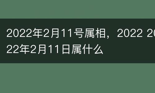 2022年2月11号属相，2022 2022年2月11日属什么