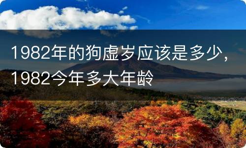 1982年的狗虚岁应该是多少，1982今年多大年龄