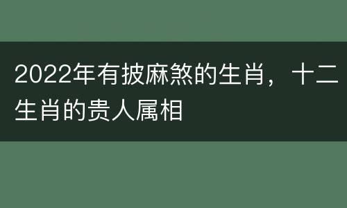2022年有披麻煞的生肖，十二生肖的贵人属相