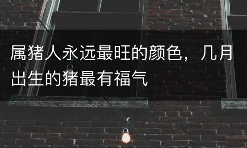 属猪人永远最旺的颜色，几月出生的猪最有福气