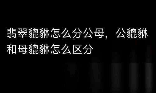 翡翠貔貅怎么分公母，公貔貅和母貔貅怎么区分
