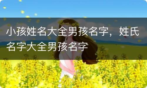小孩姓名大全男孩名字，姓氏名字大全男孩名字