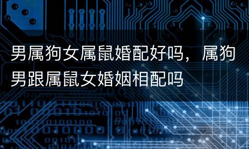 男属狗女属鼠婚配好吗，属狗男跟属鼠女婚姻相配吗