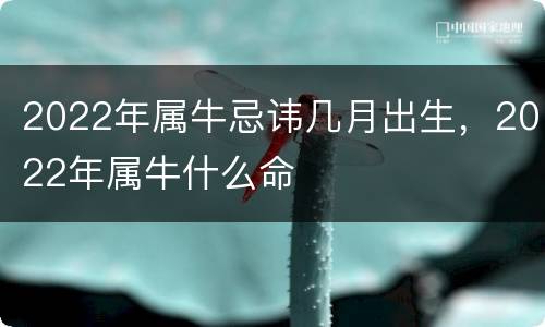 2022年属牛忌讳几月出生，2022年属牛什么命