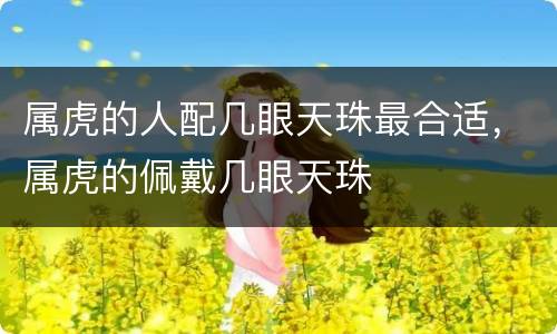 属虎的人配几眼天珠最合适，属虎的佩戴几眼天珠