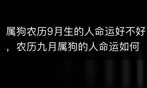 属狗农历9月生的人命运好不好，农历九月属狗的人命运如何