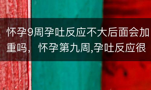 怀孕9周孕吐反应不大后面会加重吗，怀孕第九周,孕吐反应很严重