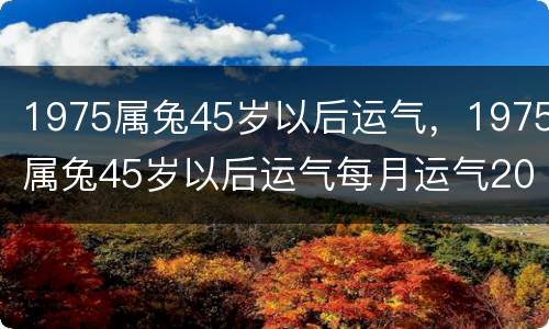 1975属兔45岁以后运气，1975属兔45岁以后运气每月运气2020年