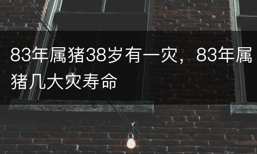 83年属猪38岁有一灾，83年属猪几大灾寿命