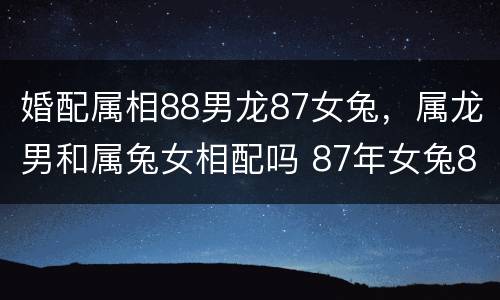婚配属相88男龙87女兔，属龙男和属兔女相配吗 87年女兔8