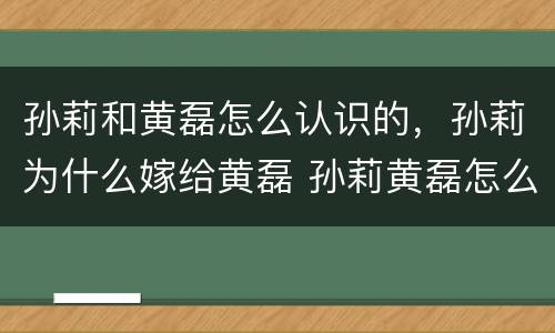 孙莉和黄磊怎么认识的，孙莉为什么嫁给黄磊 孙莉黄磊怎么认识的