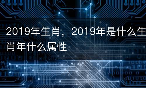2019年生肖，2019年是什么生肖年什么属性
