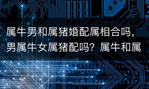属牛男和属猪婚配属相合吗，男属牛女属猪配吗？属牛和属猪配吗？