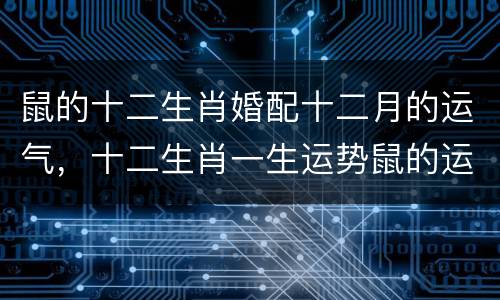 鼠的十二生肖婚配十二月的运气，十二生肖一生运势鼠的运势怎么样？2015