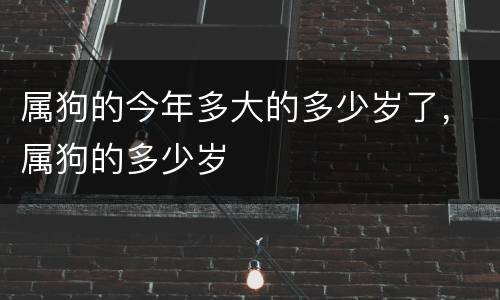 属狗的今年多大的多少岁了，属狗的多少岁