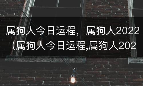 属狗人今日运程，属狗人2022（属狗人今日运程,属狗人2022年运气）