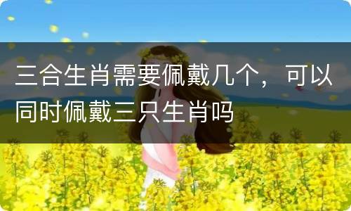 三合生肖需要佩戴几个，可以同时佩戴三只生肖吗