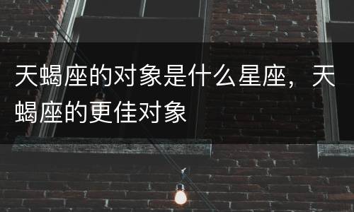 天蝎座的对象是什么星座，天蝎座的更佳对象
