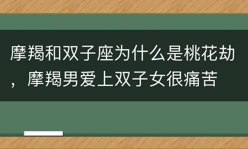 摩羯和双子座为什么是桃花劫，摩羯男爱上双子女很痛苦