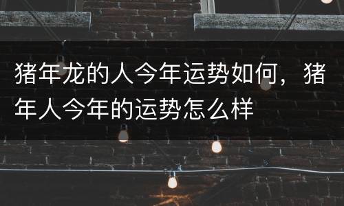 猪年龙的人今年运势如何，猪年人今年的运势怎么样