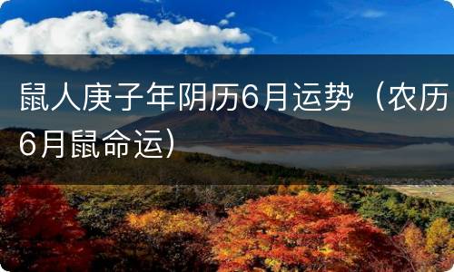 鼠人庚子年阴历6月运势（农历6月鼠命运）