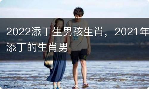 2022添丁生男孩生肖，2021年添丁的生肖男