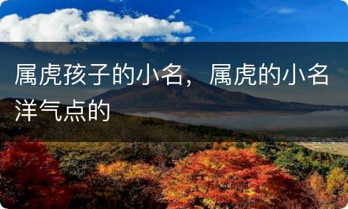 属虎孩子的小名，属虎的小名洋气点的