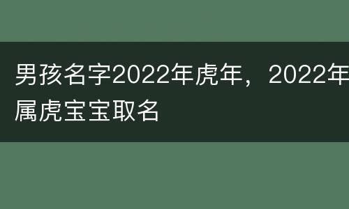 男孩名字2022年虎年，2022年属虎宝宝取名