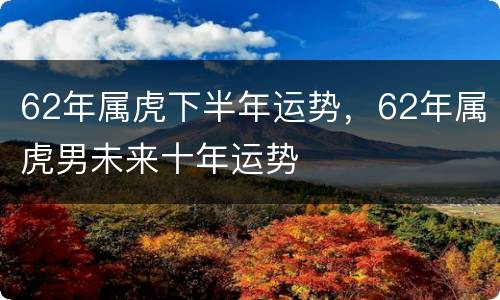 62年属虎下半年运势，62年属虎男未来十年运势
