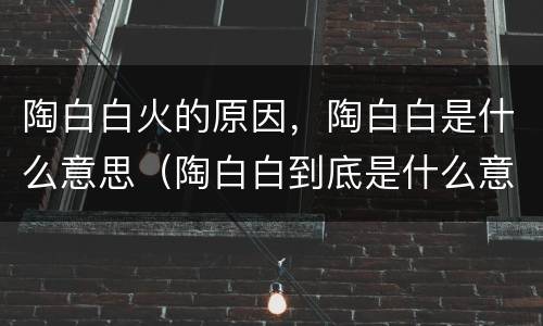 陶白白火的原因，陶白白是什么意思（陶白白到底是什么意思）