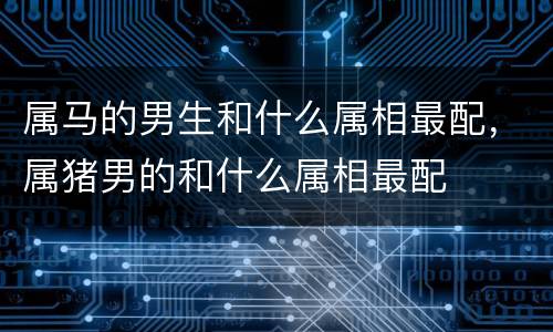 属马的男生和什么属相最配，属猪男的和什么属相最配