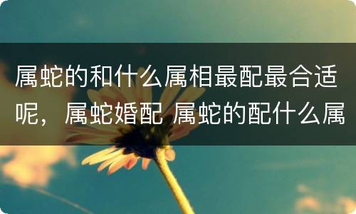 属蛇的和什么属相最配最合适呢，属蛇婚配 属蛇的配什么属相最好