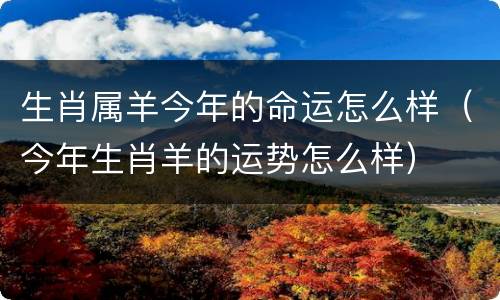 生肖属羊今年的命运怎么样（今年生肖羊的运势怎么样）