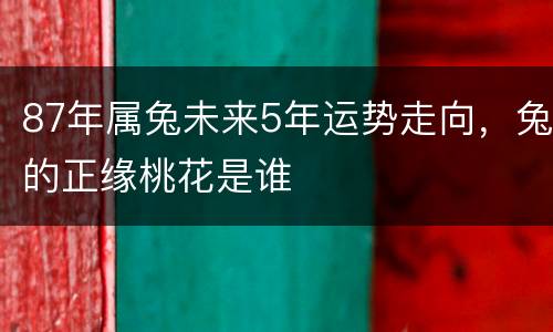 87年属兔未来5年运势走向，兔的正缘桃花是谁