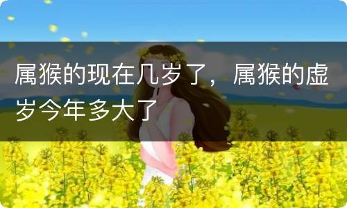 属猴的现在几岁了，属猴的虚岁今年多大了