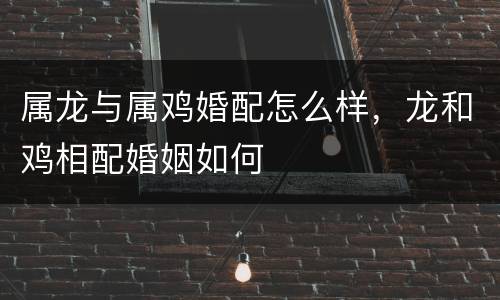 属龙与属鸡婚配怎么样，龙和鸡相配婚姻如何