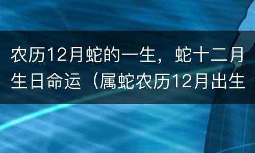 农历12月蛇的一生，蛇十二月生日命运（属蛇农历12月出生的人命好不好）