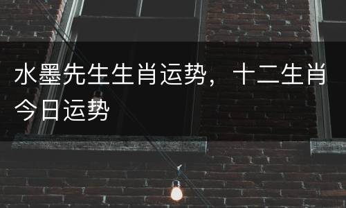水墨先生生肖运势，十二生肖今日运势