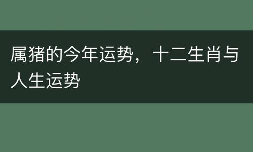 属猪的今年运势，十二生肖与人生运势