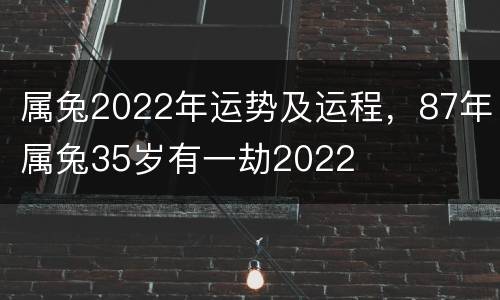 属兔2022年运势及运程，87年属兔35岁有一劫2022