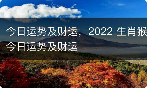 今日运势及财运，2022 生肖猴今日运势及财运